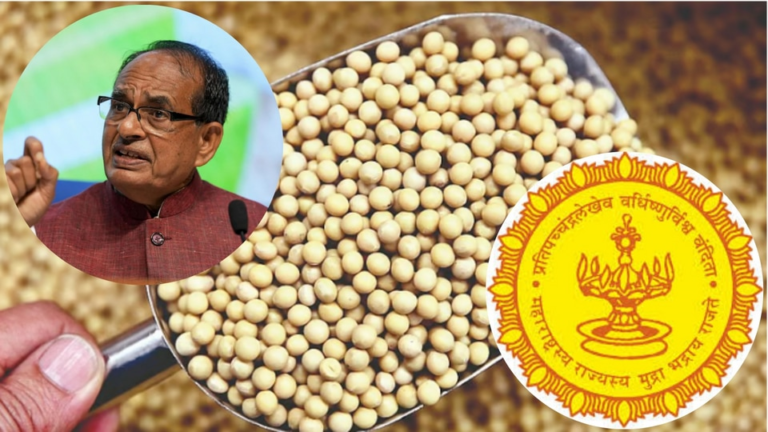 केंद्राकडून सोयाबीन खरेदीला २४ दिवसांची मुदतवाढ, मात्र पणन विभागाकडून खरेदीस नकार, नेमका काय प्रकार?